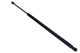 MAXGEAR Gasfeder, Koffer-/Laderaum 12-1855