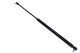 MAXGEAR Gasfeder, Koffer-/Laderaum 12-1856