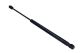 MAXGEAR Gasfeder, Koffer-/Laderaum 12-1861