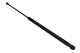 MAXGEAR Gasfeder, Koffer-/Laderaum 12-1864