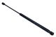 MAXGEAR Gasfeder, Koffer-/Laderaum 12-1865