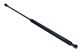 MAXGEAR Gasfeder, Koffer-/Laderaum 12-1867
