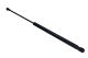 MAXGEAR Gasfeder, Koffer-/Laderaum 12-1871