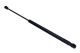 MAXGEAR Gasfeder, Koffer-/Laderaum 12-1872
