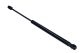 MAXGEAR Gasfeder, Koffer-/Laderaum 12-1873