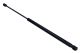 MAXGEAR Gasfeder, Koffer-/Laderaum 12-1875