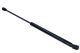 MAXGEAR Gasfeder, Koffer-/Laderaum 12-1876