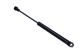 MAXGEAR Gasfeder, Koffer-/Laderaum 12-1878