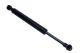 MAXGEAR Gasfeder, Koffer-/Laderaum 12-1882