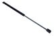 MAXGEAR Gasfeder, Koffer-/Laderaum 12-1883