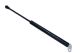 MAXGEAR Gasfeder, Koffer-/Laderaum 12-1888