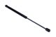 MAXGEAR Gasfeder, Koffer-/Laderaum 12-1892