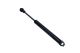MAXGEAR Gasfeder, Koffer-/Laderaum 12-1893