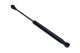 MAXGEAR Gasfeder, Koffer-/Laderaum 12-1896