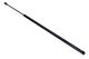 MAXGEAR Gasfeder, Koffer-/Laderaum 12-1900