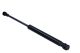 MAXGEAR Gasfeder, Koffer-/Laderaum 12-1901
