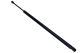 MAXGEAR Gasfeder, Koffer-/Laderaum 12-1904