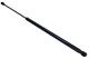 MAXGEAR Gasfeder, Koffer-/Laderaum 12-1905