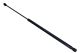 MAXGEAR Gasfeder, Koffer-/Laderaum 12-1909