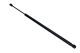MAXGEAR Gasfeder, Koffer-/Laderaum 12-1911