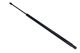 MAXGEAR Gasfeder, Koffer-/Laderaum 12-1918