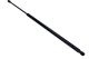 MAXGEAR Gasfeder, Koffer-/Laderaum 12-1919