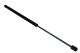 MAXGEAR Gasfeder, Koffer-/Laderaum 12-1921