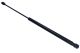 MAXGEAR Gasfeder, Koffer-/Laderaum 12-1922