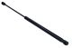 MAXGEAR Gasfeder, Koffer-/Laderaum 12-1923