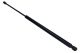 MAXGEAR Gasfeder, Koffer-/Laderaum 12-1924