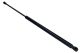MAXGEAR Gasfeder, Koffer-/Laderaum 12-1925