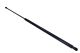 MAXGEAR Gasfeder, Koffer-/Laderaum 12-1926