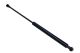 MAXGEAR Gasfeder, Koffer-/Laderaum 12-1935