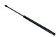 MAXGEAR Gasfeder, Koffer-/Laderaum 12-1953