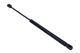 MAXGEAR Gasfeder, Koffer-/Laderaum 12-1957