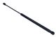 MAXGEAR Gasfeder, Koffer-/Laderaum 12-1961