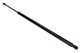 MAXGEAR Gasfeder, Koffer-/Laderaum 12-1964