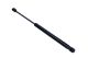 MAXGEAR Gasfeder, Koffer-/Laderaum 12-1973
