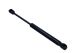 MAXGEAR Gasfeder, Koffer-/Laderaum 12-1975