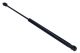 MAXGEAR Gasfeder, Koffer-/Laderaum 12-1978