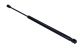 MAXGEAR Gasfeder, Koffer-/Laderaum 12-1987
