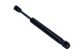 MAXGEAR Gasfeder, Koffer-/Laderaum 12-1996