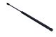 MAXGEAR Gasfeder, Koffer-/Laderaum 12-2001