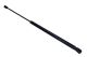 MAXGEAR Gasfeder, Koffer-/Laderaum 12-2013