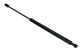 MAXGEAR Gasfeder, Koffer-/Laderaum 12-2014