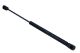 MAXGEAR Gasfeder, Koffer-/Laderaum 12-2024