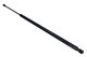 MAXGEAR Gasfeder, Koffer-/Laderaum 12-2025