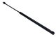 MAXGEAR Gasfeder, Koffer-/Laderaum 12-2027