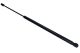 MAXGEAR Gasfeder, Koffer-/Laderaum 12-2030