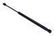 MAXGEAR Gasfeder, Koffer-/Laderaum 12-2034
